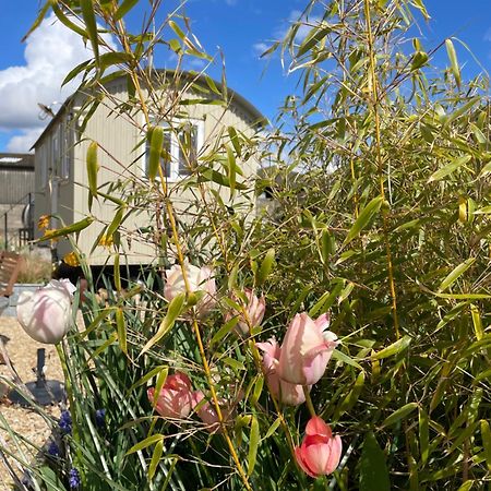 The Shepherd'S Hut Mixbury Exterior photo